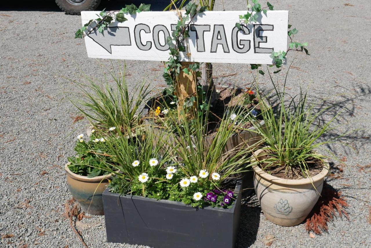 Havelock Cottage On St Georges แฮฟล็อค นอร์ท ภายนอก รูปภาพ